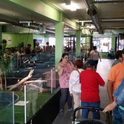 A view of our education center with guests looking at a variety of animals!