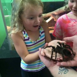 An excited little guest meeting Gretchen the tarantula!