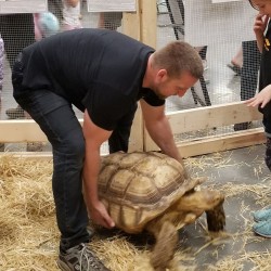 Did we mention the big tortoises??